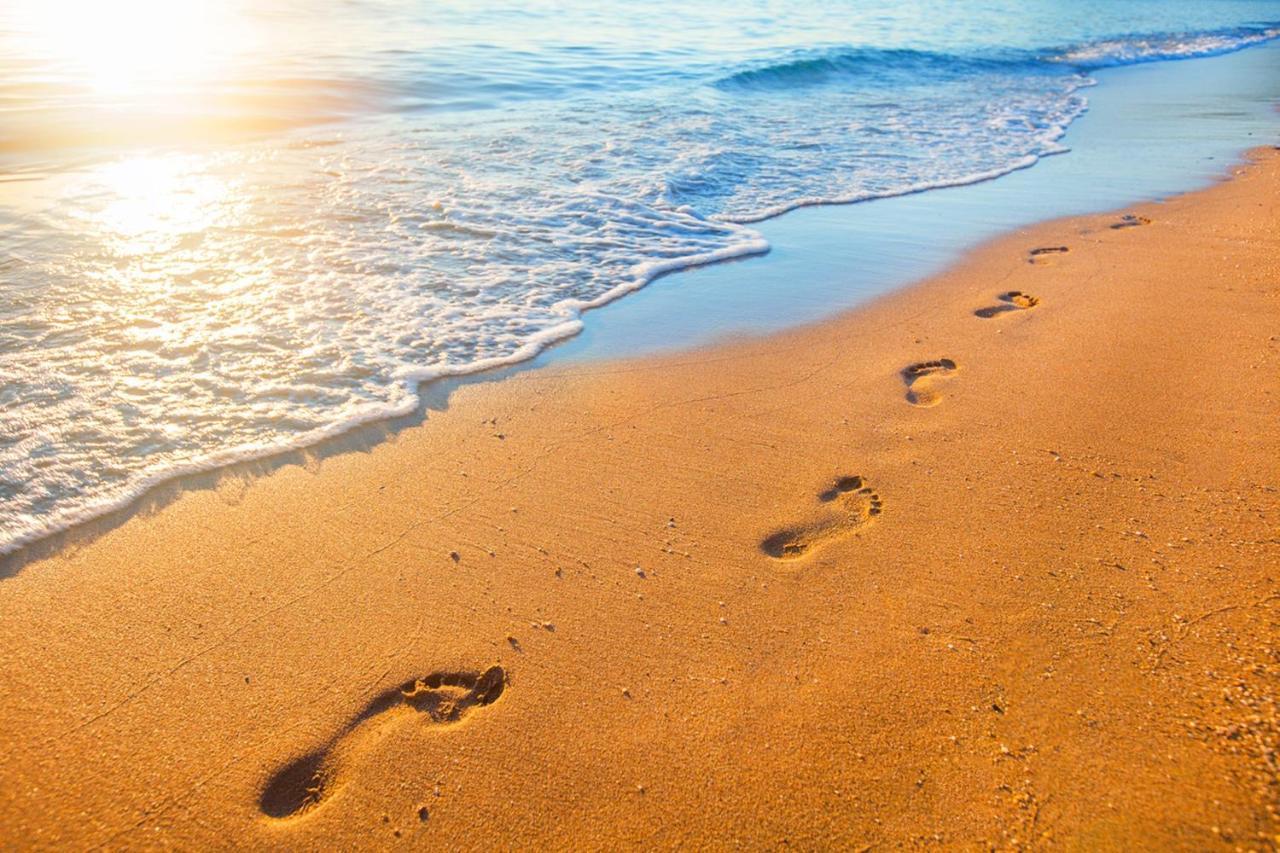 Luxury Beachfront Penthouse Walk To The Beach Restaurants Entertainment Half Moon Bay Eksteriør bilde